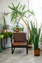 A fragment of the interior with a variety of indoor plants and plaster sculptures. Urban jungle concept. Biophilia design.