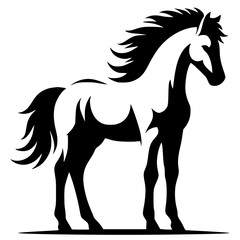 Obraz premium White horse silhouette