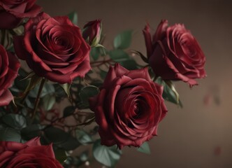 Obraz premium Elegant burgundy roses, soft lighting, silky petals, web banner format, leaves, sophisticated