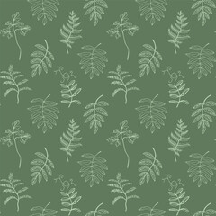 Gentle seamless vector pattern with various outline leaves on olive green background. Hand-drawn.