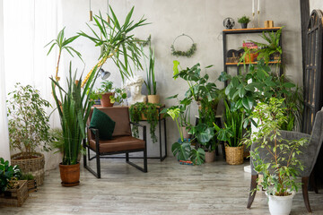 A fragment of the interior with a variety of indoor plants and plaster sculptures. Urban jungle concept. Biophilia design.