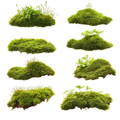Nine moss clumps in various shapes isolated on transparent background
