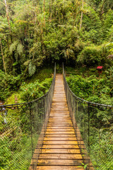 Obraz premium Hanging bridge in Yanachaga–Chemillen National Park, Peru