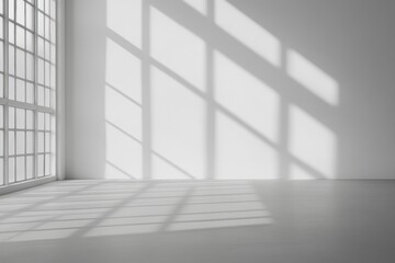 Empty room, sunlight casts shadows on white walls and floor