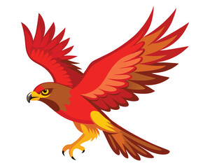 Fototapeta premium a red tailed hawk soaring high with its broad wings
