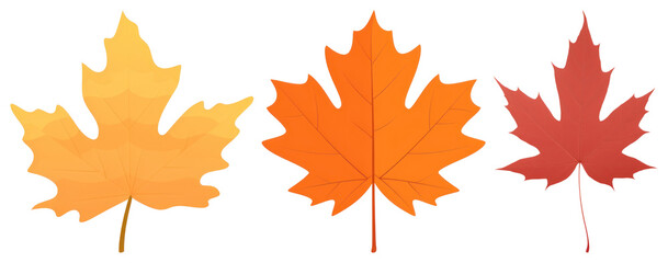 Obraz premium PNG Colorful autumn maple leaves, element set on transparent background
