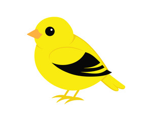 a delicate watercolor of a goldfinch with its bright yellow feathers