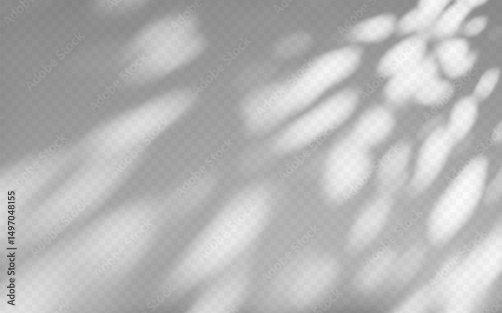 Wall mural abstract shadow overlay from tree branch on a transparent background.