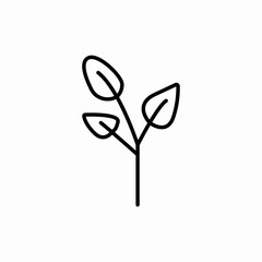 Plant growth leaf icon vector sign