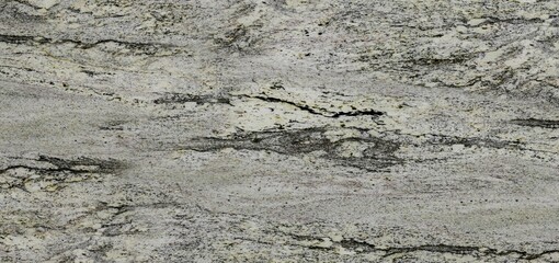 Light Gray Granite with Veins