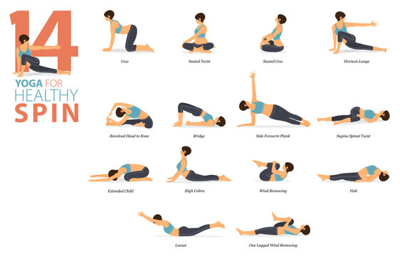 14 Yoga poses or asana posture for workout in healthy spin concept. Women exercising for body stretching. Fitness infographic. Flat cartoon vector.