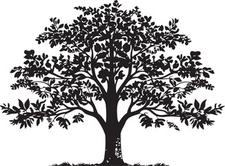 Fototapeta premium Tree Silhouette Bundle – 6 Designs