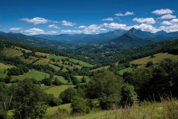 Fototapeta premium Serene View of Rolling Hills Under Blue Sky