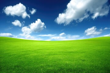 Obraz premium Serene Green Meadow Beneath a Clear Sky