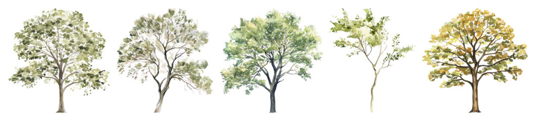 PNG Illustrated diverse seasonal trees, element set on transparent background