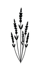 Simple Black Lavender Silhouette