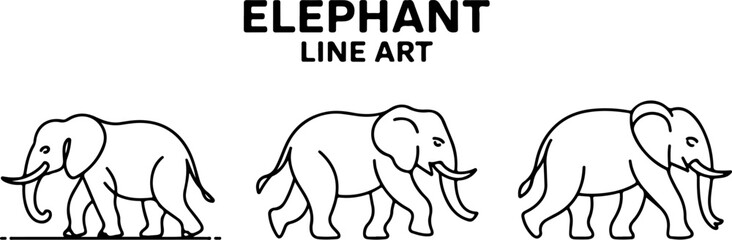 A set of elephant silhouettes and line art Vector illustration.