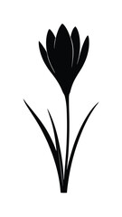 Black Crocus Flower Silhouette