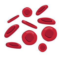 Red Blood Cells Illustration