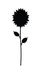 Black Silhouette Sunflower Flower