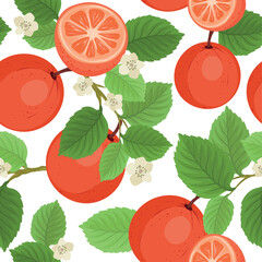 Seamless pattern with grapefruit brunch with leaves and flowers, whole and slice on white background.