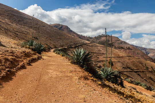 Inca road (Qhapaq Nan) near Tarma town, Peru