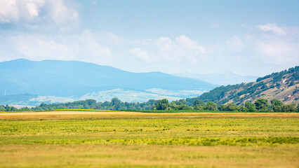 landscape with rural field. mountainous countryside of romania in summer. cloudy sky. green hill