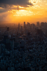 Obraz premium Tokyo Sunset