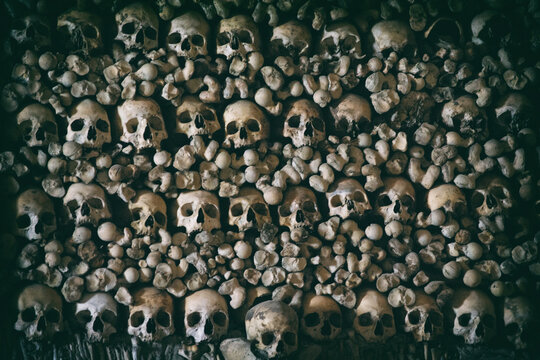 catacumba, calavera, &Eacute;vora, Portugal