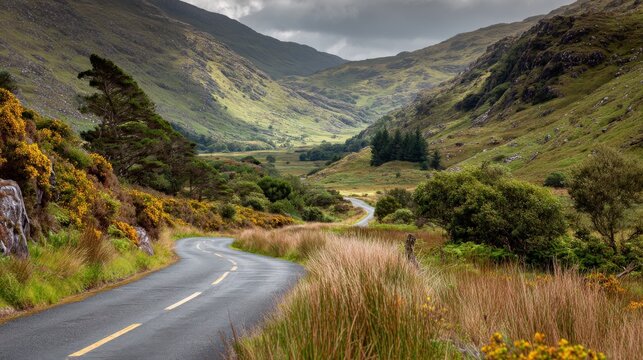 Scenic road winding through Connemara National Park in County Galway, surrounded by rolling green hills and wild beauty..