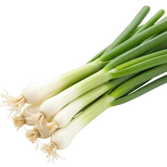 Fresh green onions bunch isolated on transparent background