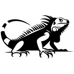 Silhouette of an iguana