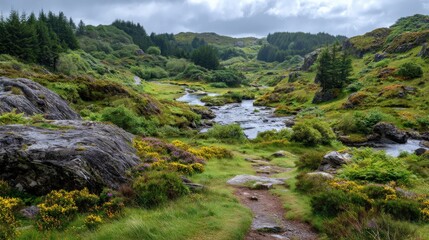 Winding trail through Ireland raw terrain showing Connemara unique natural beauty..