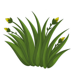 green plant isolated. Grass Decoration Illustration Digital Drawing