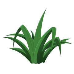 green plant isolated. Grass Decoration Illustration Digital Drawing