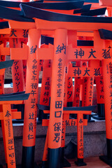 Japanese Torii Gates