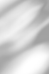 shadow overlay effects of realistic abstract natural tree leaves shadow on white wall background,Summer sunlight and shadow overlay effect,shadow for photo interior backdrop studio mockup