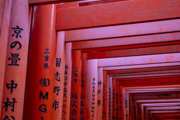 Japanese Torii Gates