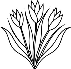 Chive Plant outline line art illustration, coloring book page