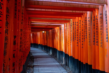 Japanese Torii Gates