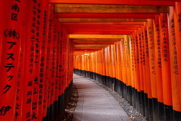 Japanese Torii Gates