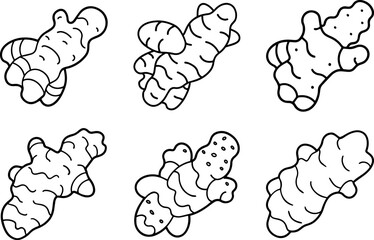 Set of ginger outline line art illustration, coloring book page