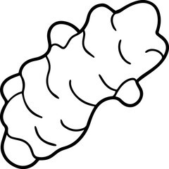 ginger outline line art illustration, coloring book page