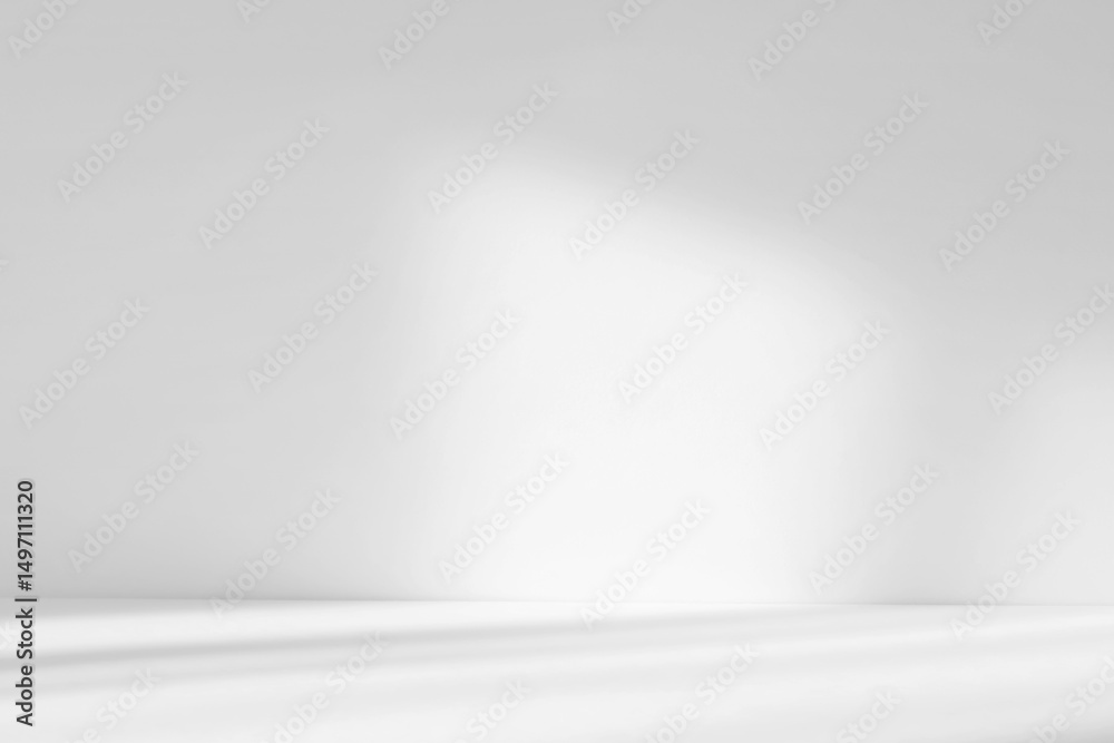 Poster Abstract white studio background with shadows of window. Empty 3d gray room with copy space. Display product with blurred backdrop.
