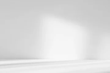 Abstract white studio background with shadows of window. Empty 3d gray room with copy space. Display product with blurred backdrop. © Lyubov