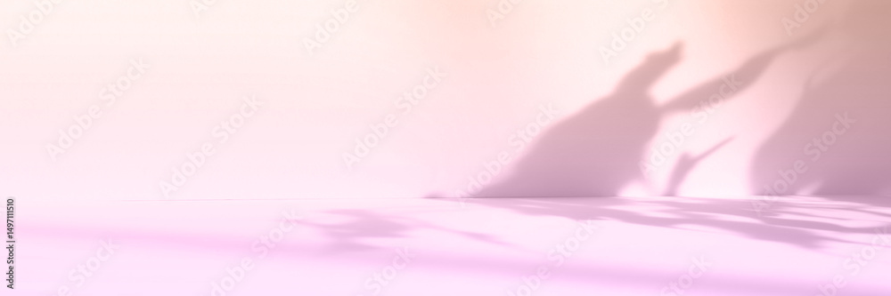 Poster Abstract pink color gradient studio background for product presentation. Empty room with shadows of flowers and plant leaves. 3d purple room with copy space. Banner. Summer concept. Blurred backdrop