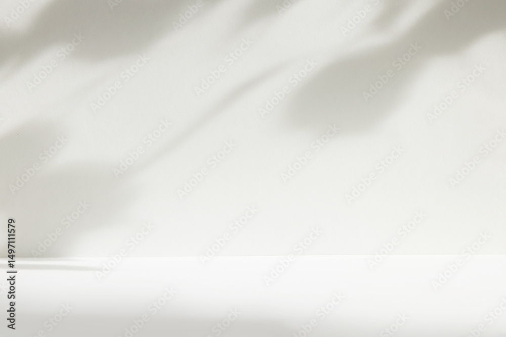 Poster Abstract white color studio background for product presentation. Empty room with shadows of window and flowers and plant leaves . 3d grey room with copy space. Summer concept. Blurred backdrop.