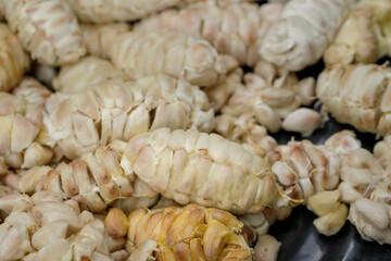 Fresh cocoa beans that have been removed from the pods before being fermented.