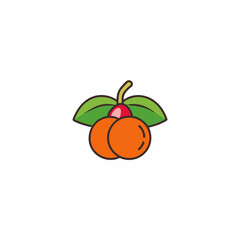 orange fruit with leaves