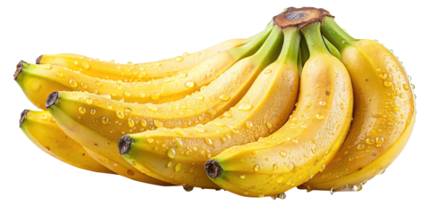 Close up of fresh ripe bananas with water droplets isolated on white